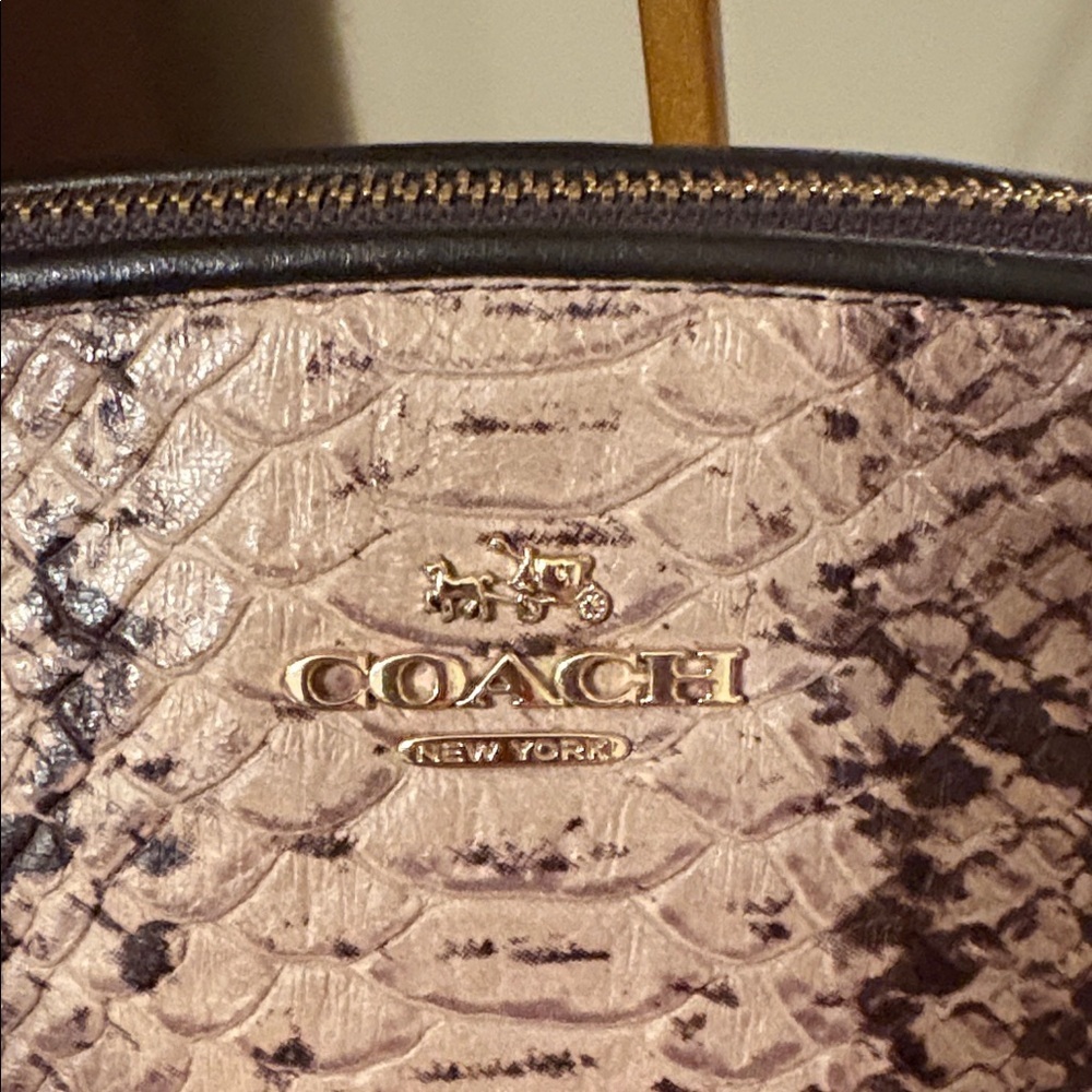 Coach Kelsey Python Pattern Taupe,Brown and Black cross body - Picture 2 of 15